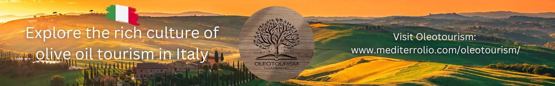 olive oil tourism italy